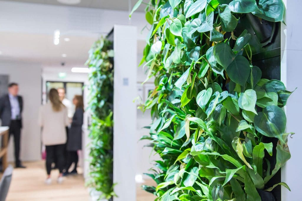 Aki Soudunsaari founder Naava green sustainable workplace furniture green walls plants